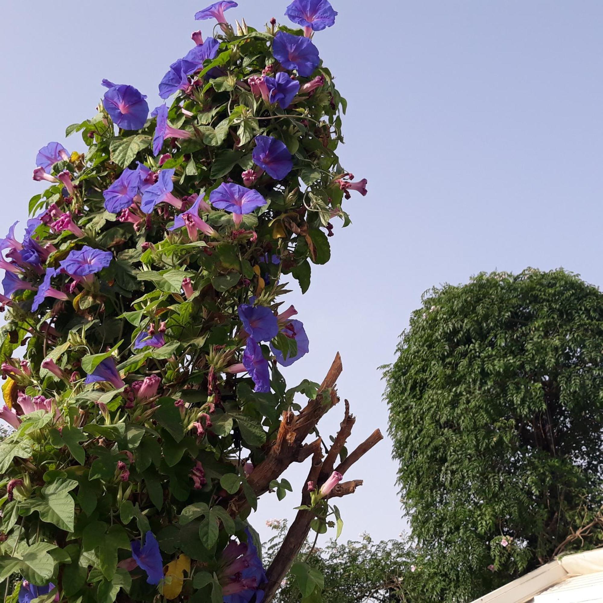 Riad Dar Oulhoum